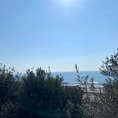 Ludovico I